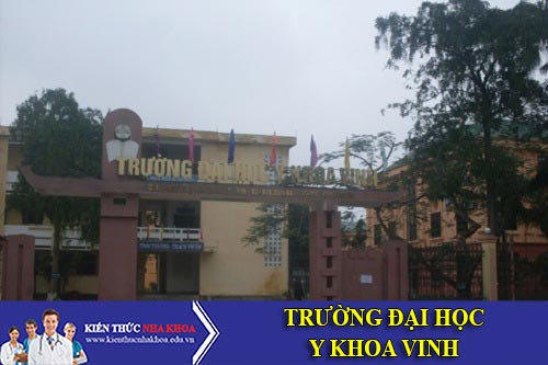 Chỉ tiêu tuyển sinh trường Đại Học Y Khoa Vinh Nghệ An