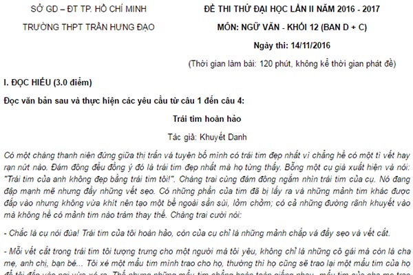 Đề thi thử môn Ngữ Văn của trường THPT Trần Hưng Đạo TPHCM