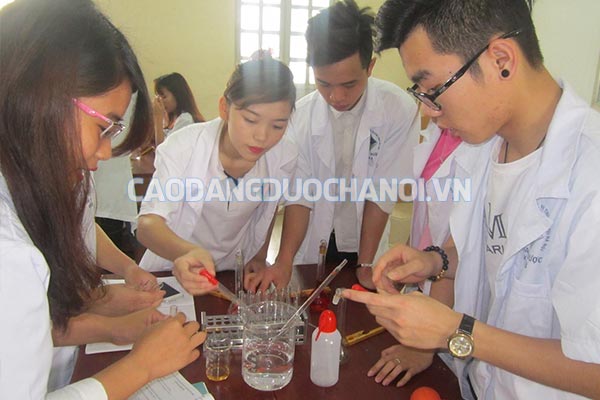 Nên chọn Cao đẳng Y Dược ở Bắc Ninh hay Cao đẳng Dược ở Hà Nội